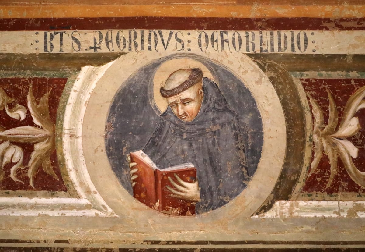 A tonsured Servite friar in a dark habit, haloed and shown in a roundel, reads intently from a large red book held open in his hands.